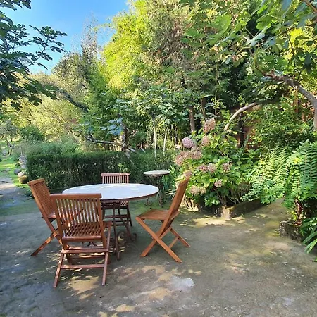 La Casona De La Vega, Ca-1497-as Onís